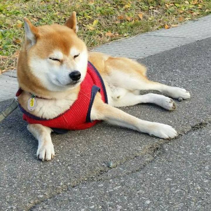 Cea9c4b6 46b7 4f2e a26c fe0fc031362f