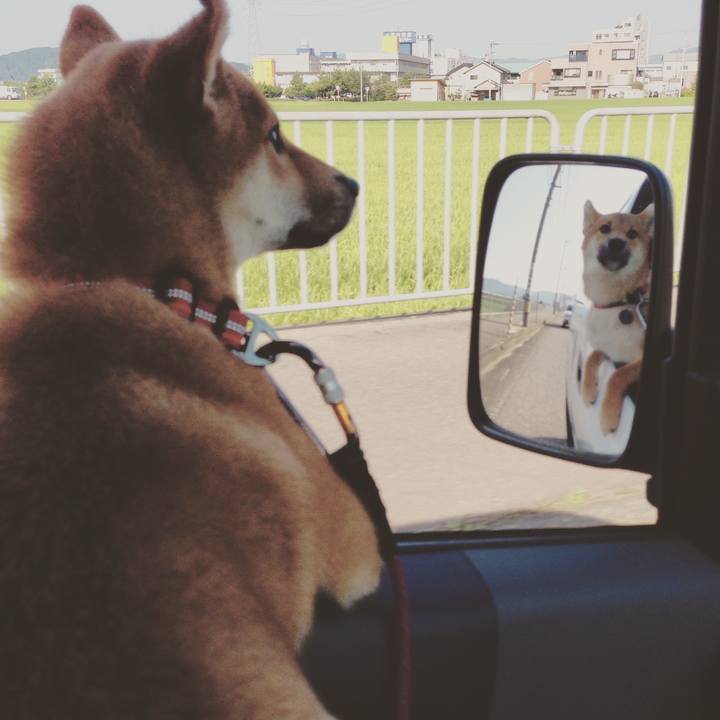 Ceaa4112 0325 4c01 b64e db078dc89291