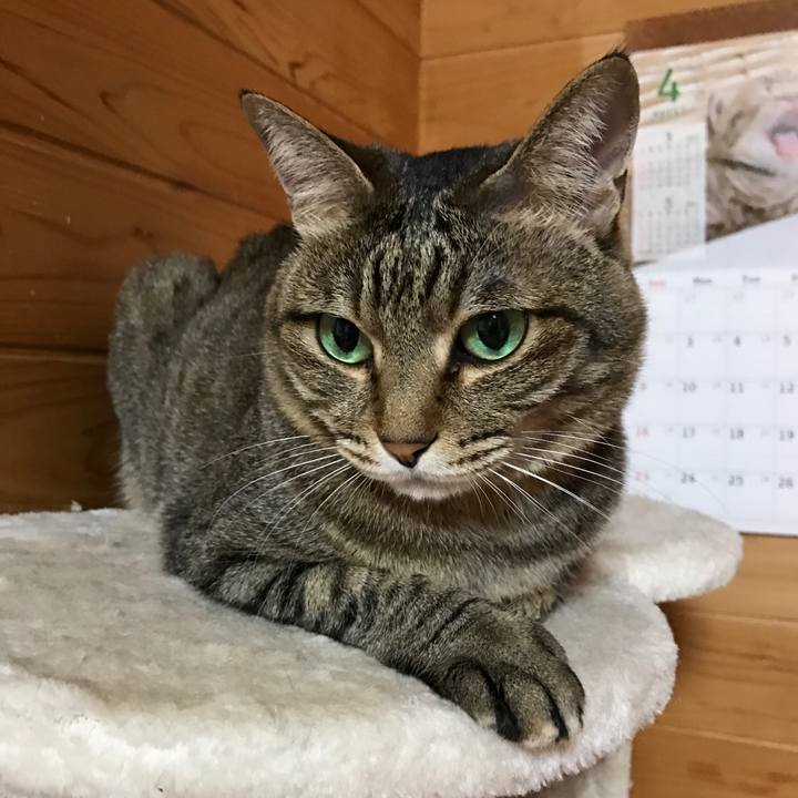 Ceaab26f b2e6 4a76 92d8 8a8cbb583b71