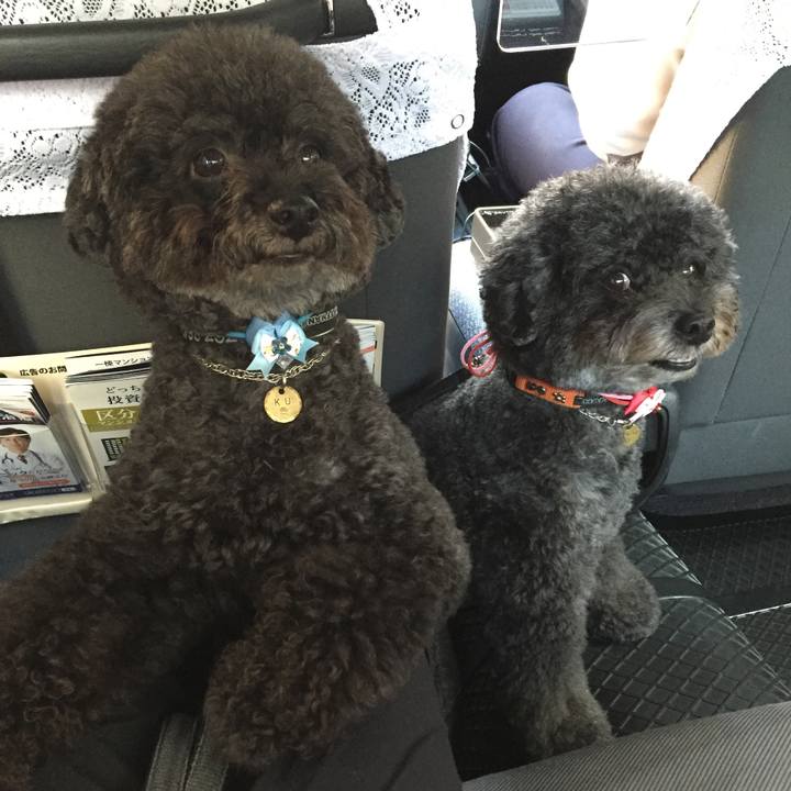 Ceaae9df dbe1 4af1 8425 752a535806f2