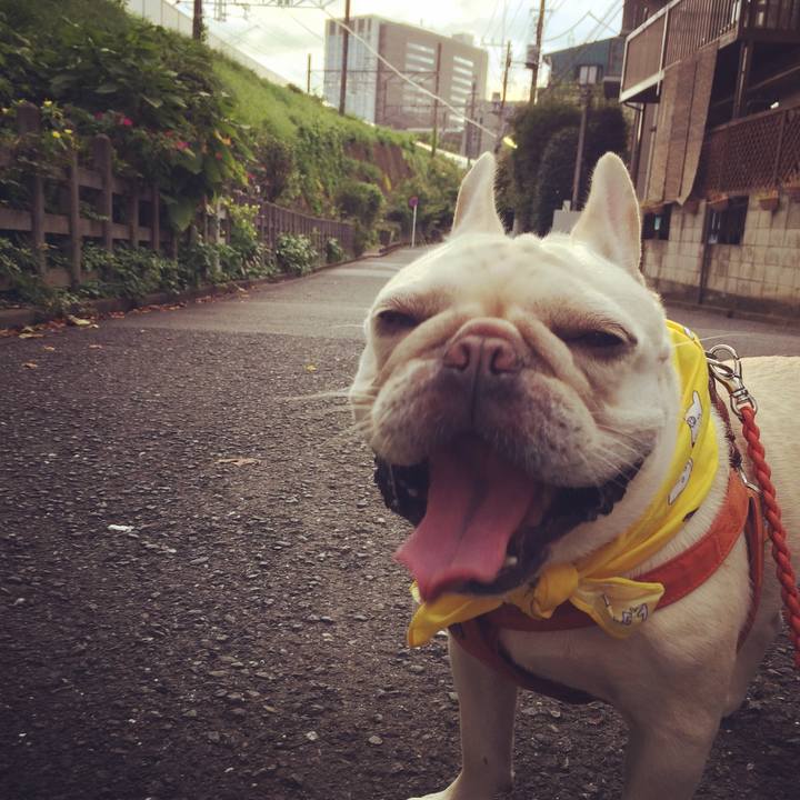 Ceab2c18 af3a 47f6 93c5 80d8d35827b9