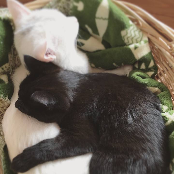 Ceac1b5e f40f 42e0 90a2 8c2bf77465a8