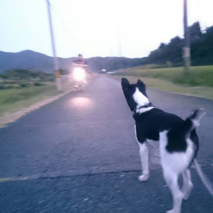 Ceade9c8 dc3b 4ca5 9496 4becfdfaff5f