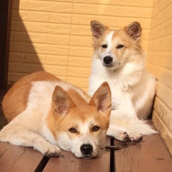 Ceae2d5f 72cd 4878 8444 16e17aa554e3