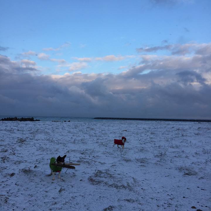 Ceaea42c 2b20 4d36 8705 60b5b127dbba