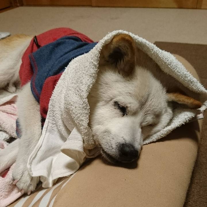 Ceaf1885 725c 4b08 80ca d496ab315928