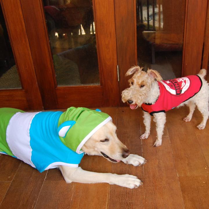 Ceaf7687 8c01 47fc 97f0 f8444fd4194f