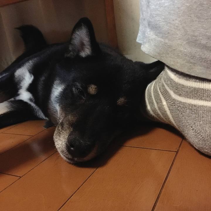 Ceb0109a ab97 43e5 9807 8fdcd2de1e7f