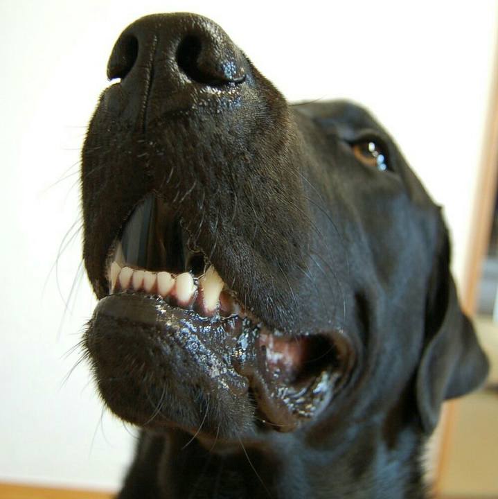 Ceb03ef2 f516 49d1 ae47 8723e53f5eef