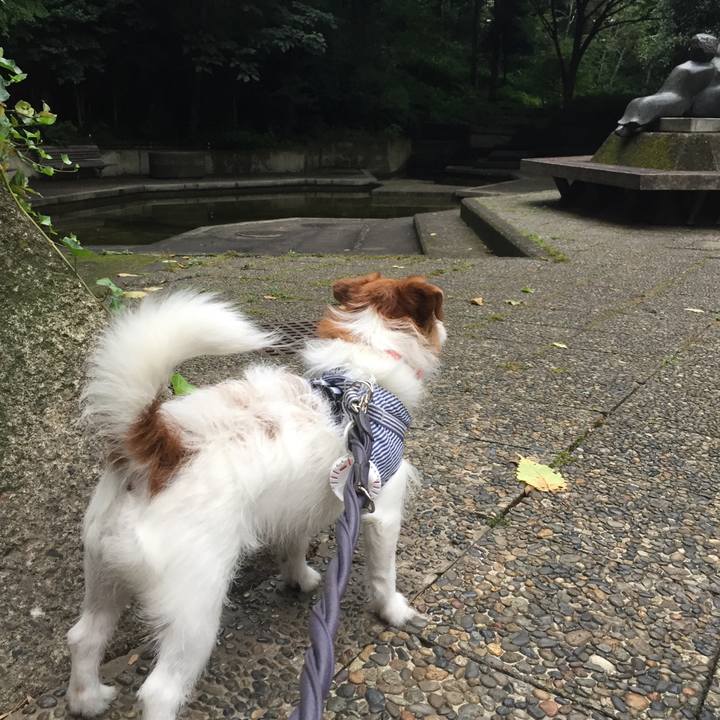 Ceb0686f cce1 4368 8f1c 6138e90fdfbd