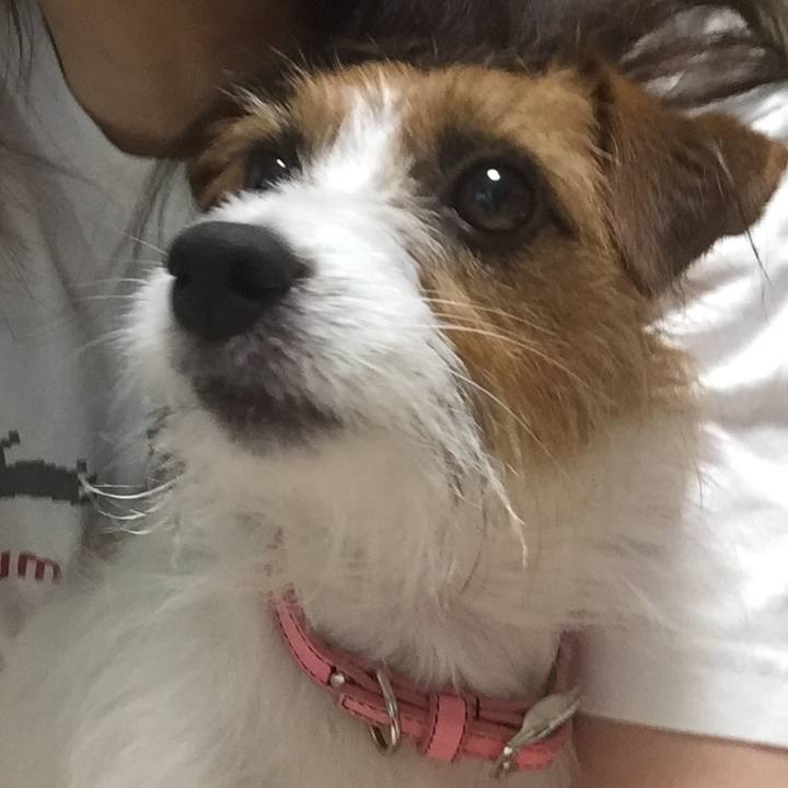 Ceb090e2 c66c 4470 ad23 361310d42cb2