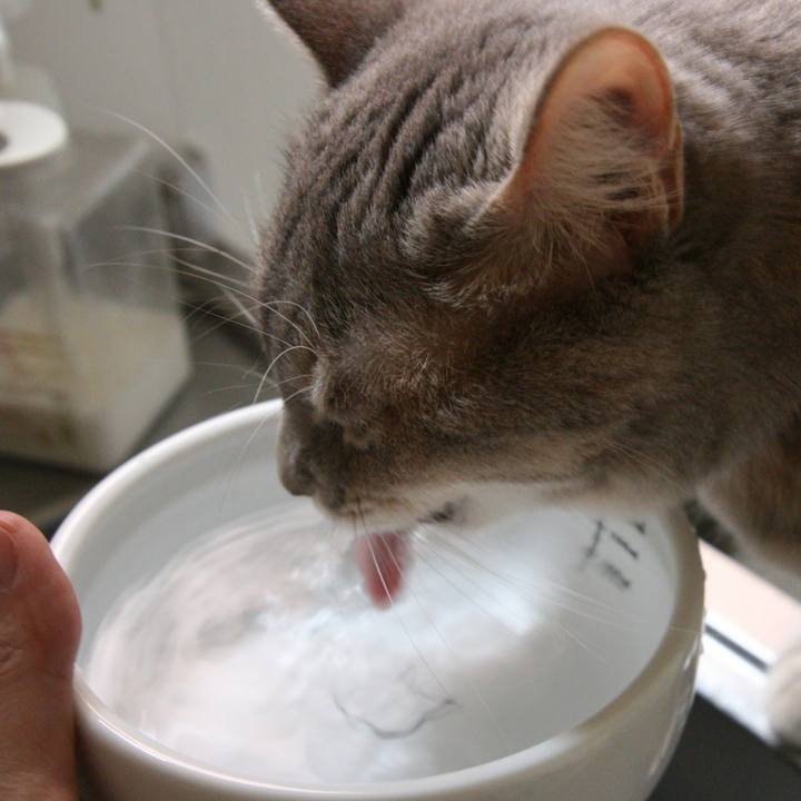 Ceb09108 df16 4172 a4fc de2d4fedf701