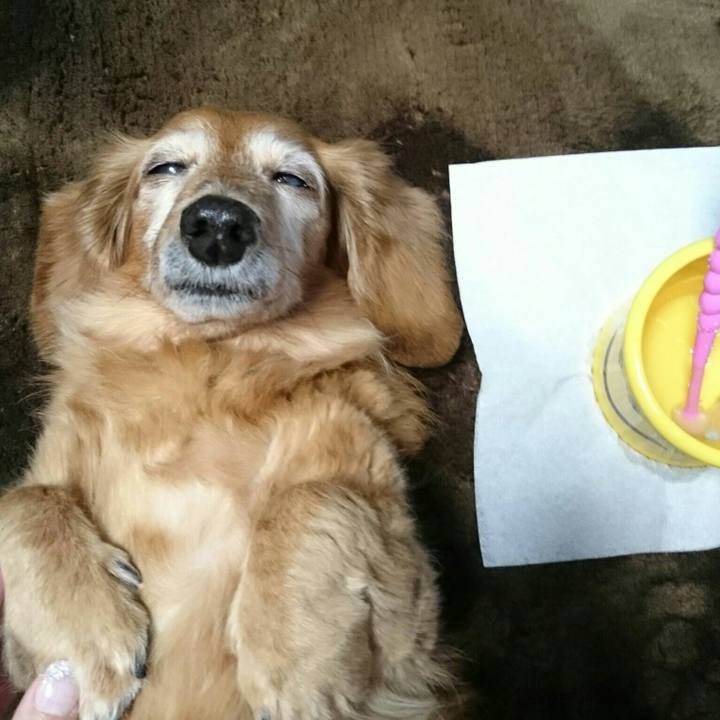 Ceb0b3ef e805 4f19 b1ec 3b06237b7def