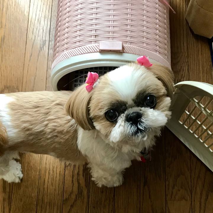 Ceb15e75 131f 4b4a a80b f198d3982c65