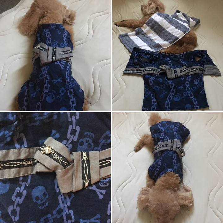 Ceb16b27 11b5 478d 91f0 b3083b903111