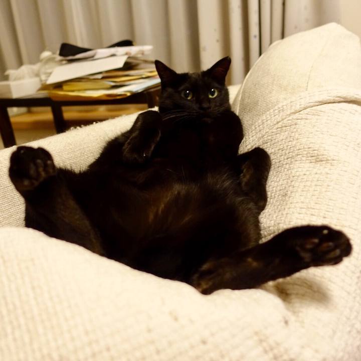 Ceb39a42 0a55 4216 a74f b8e9df1ec70d