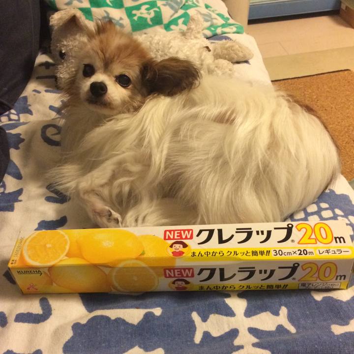 Ceb3dd35 d900 4711 b37b 057ab7989a5e