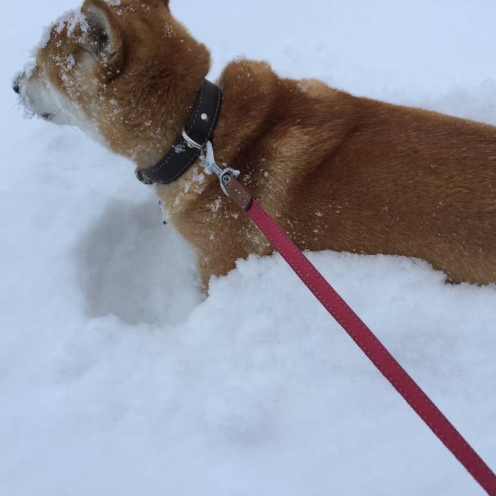 Ceb49fdc 9fe0 4a74 890e 40fb7ea2d00d