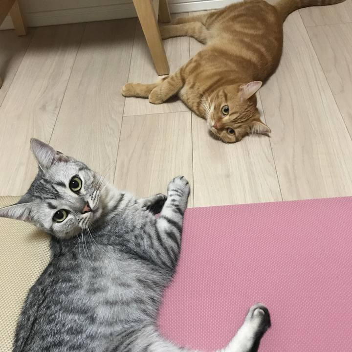 Ceb4bd72 7d5e 42d6 96b8 c293dcf8d55b