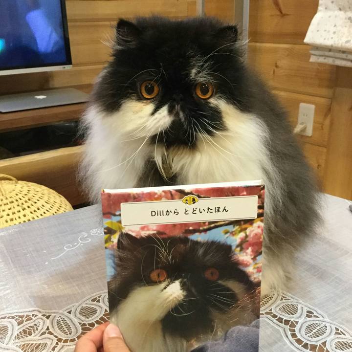 Ceb4d80a 5c50 48de 9678 c11380d66a32