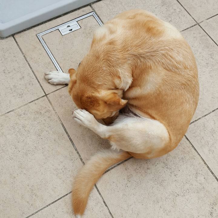 Ceb58e08 3151 4894 a6e2 e47b93b3e2f4