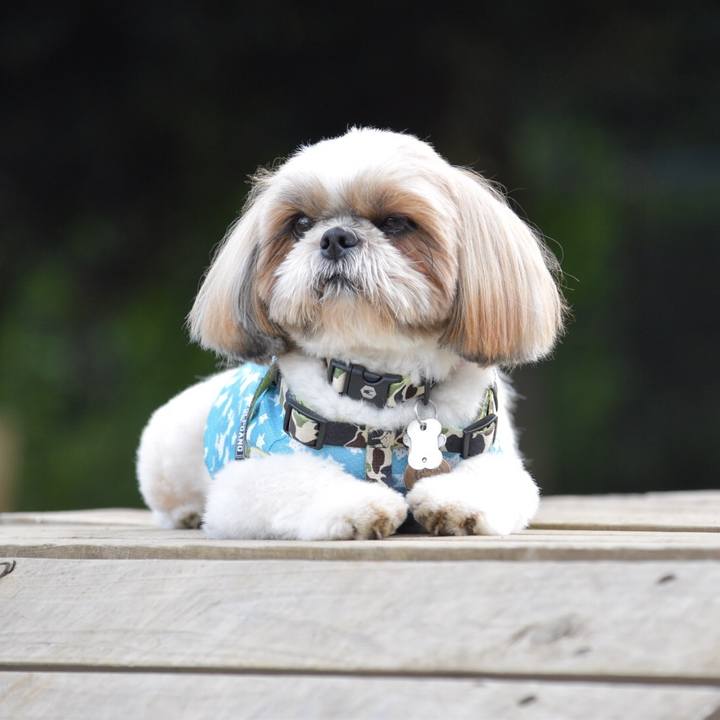 Ceb5bdcd a135 4ac9 abe8 919e86ea8cd5