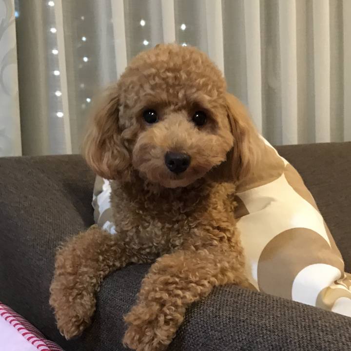 Ceb5d546 f0a3 4130 8e90 573773fa6fe8