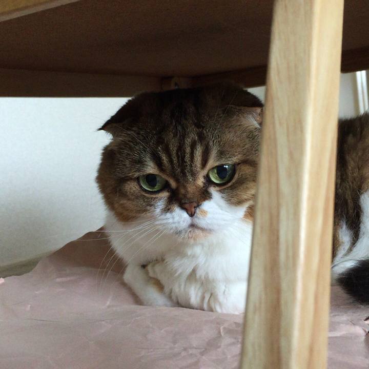 Ceb65ee3 b380 42e4 9e28 cf6c61eacf3d