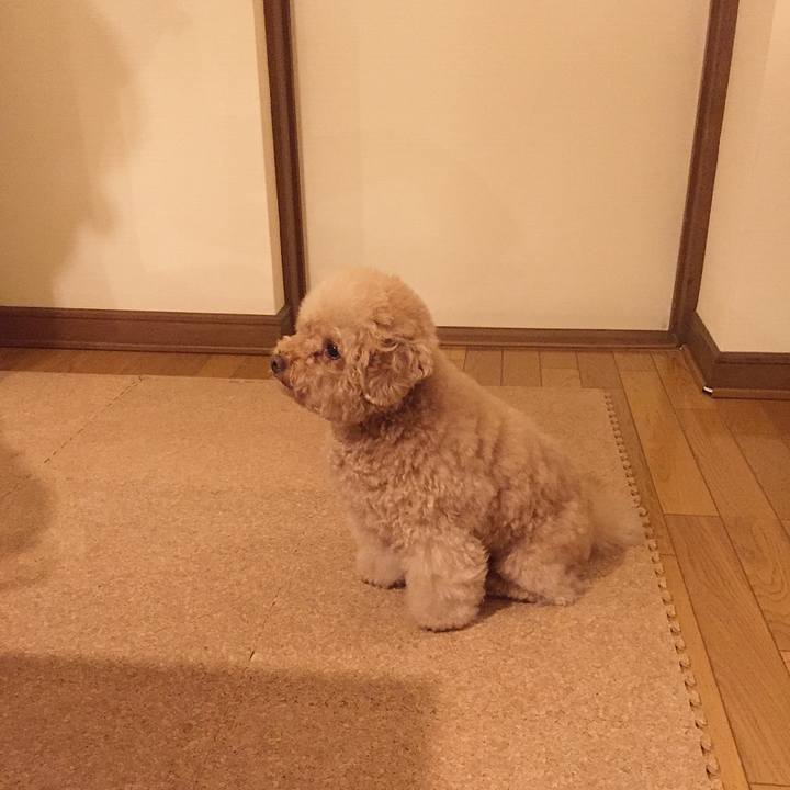 Ceb697ee 7a8e 4931 baae 34b383899436