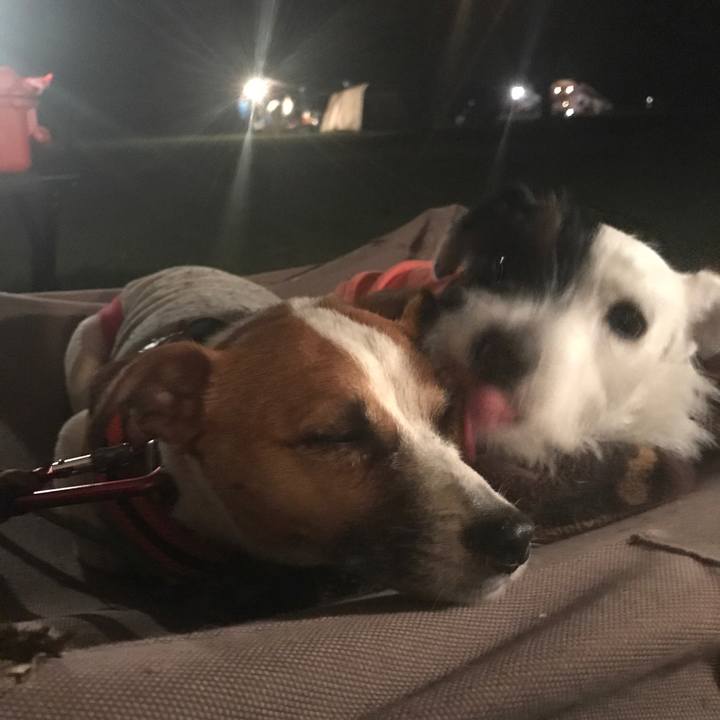 Ceb77468 9e4a 465a 8a08 51e0c078bd56