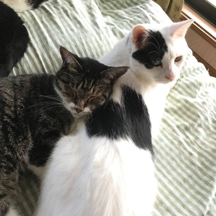 Ceb77992 3853 4b3e 9260 8b2e7c933886