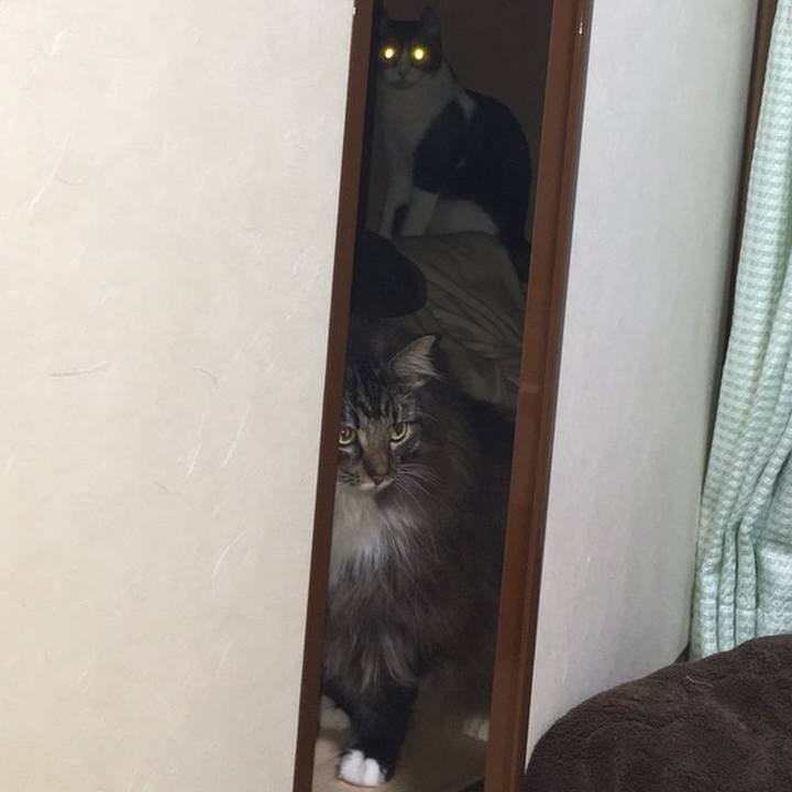 Ceb7c14c 3c53 465e bca1 9ebe3cbb2cdd