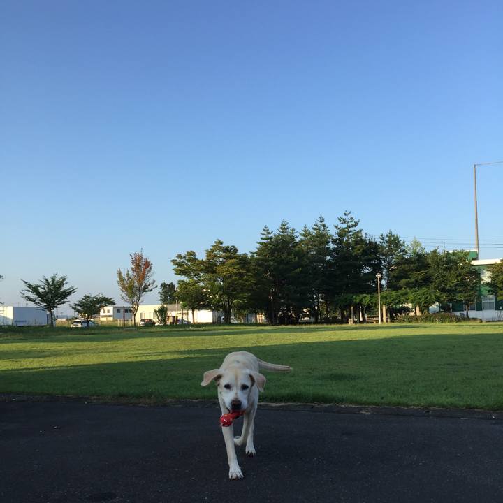 Ceb8d57e 2ebb 49bb b72a a0cf623de501