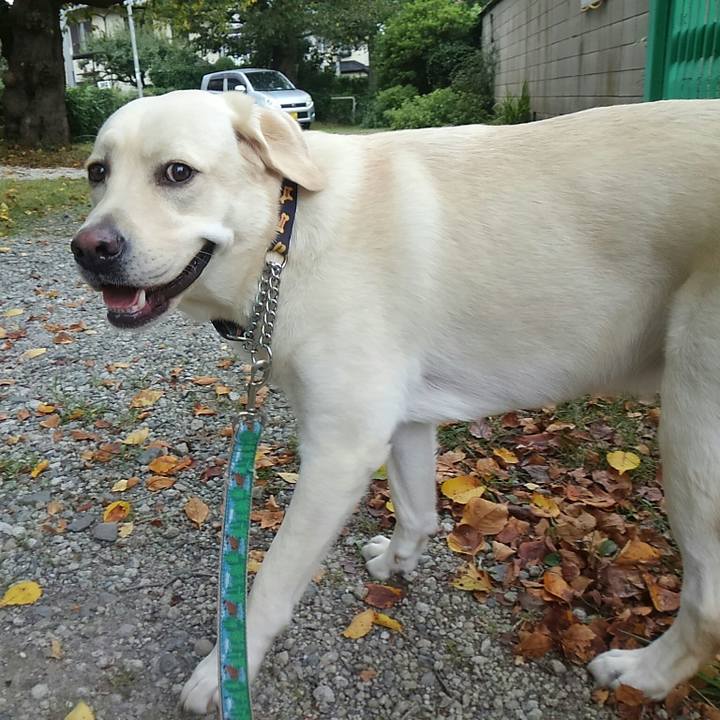 Ceb91f14 ece8 4be2 867e 8fe65847bb25