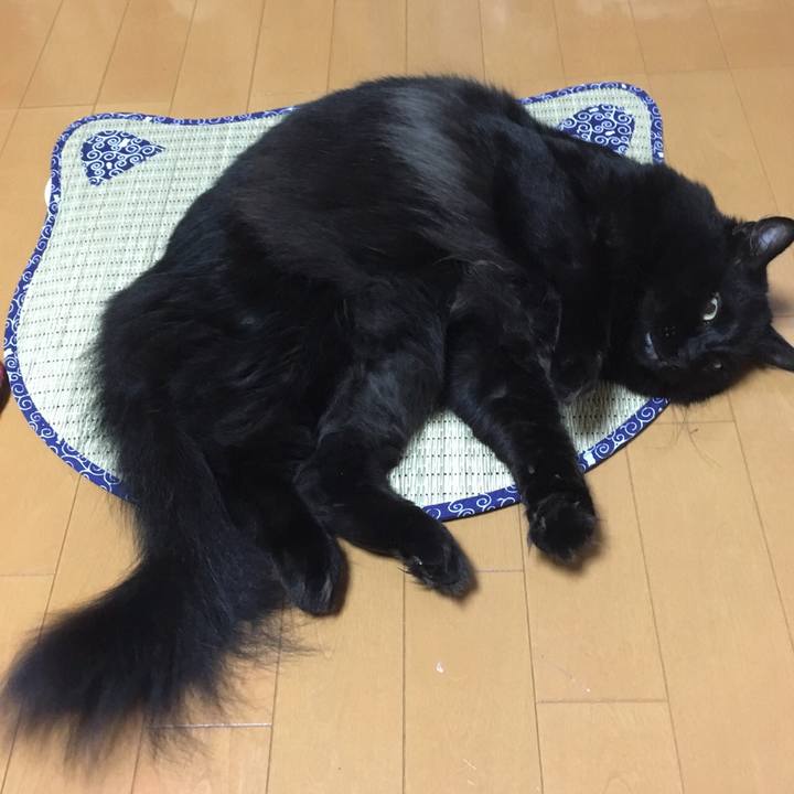 Ceb933d3 f1bb 49cc af12 de2fe78ca9ac