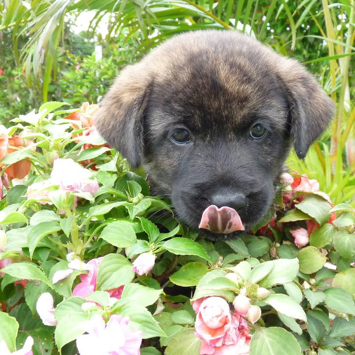 Ceb9e439 42c4 4a45 a50a c04e0e9b780f