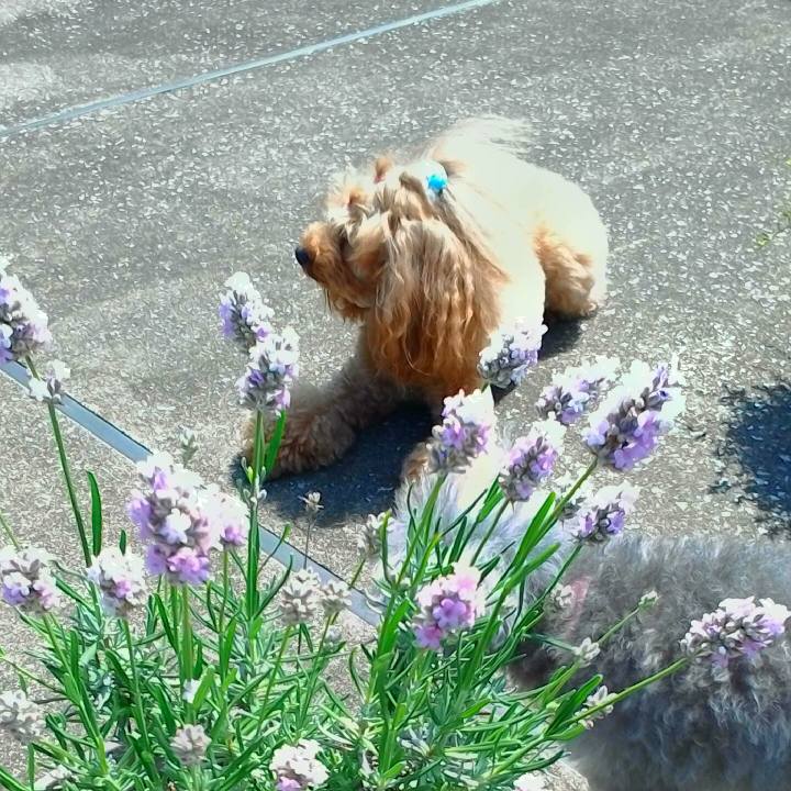 Ceb9e809 7229 42e3 9a88 55382244beb4