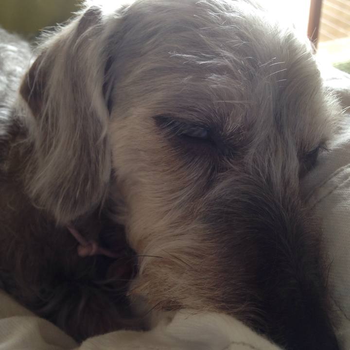 Ceb9e81d 0f92 4717 9f87 0f41748f1e99