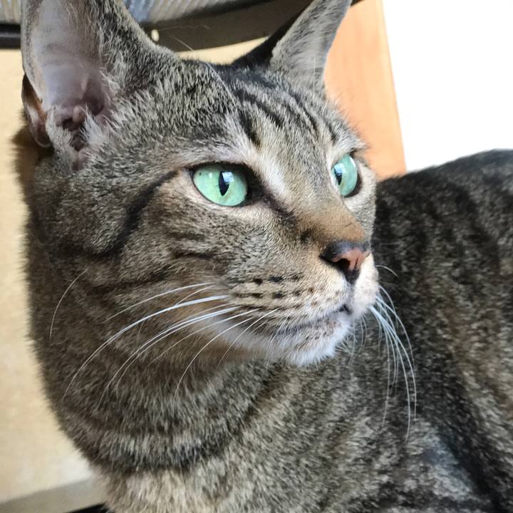 Ceb9ecea 3ed1 4ec1 bed7 64b5fb021507