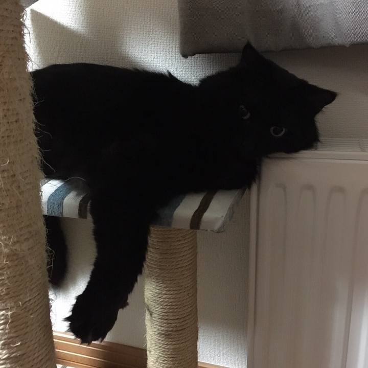 Ceba6d47 7a45 4f4b acab 112c9aebab61