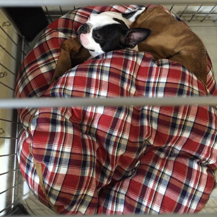 Cebaf48e 1fc8 46b7 917a 1041d9d0f398