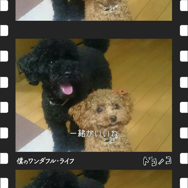 Cebb25fa 2b4b 40a8 8a74 a0e241a520f4