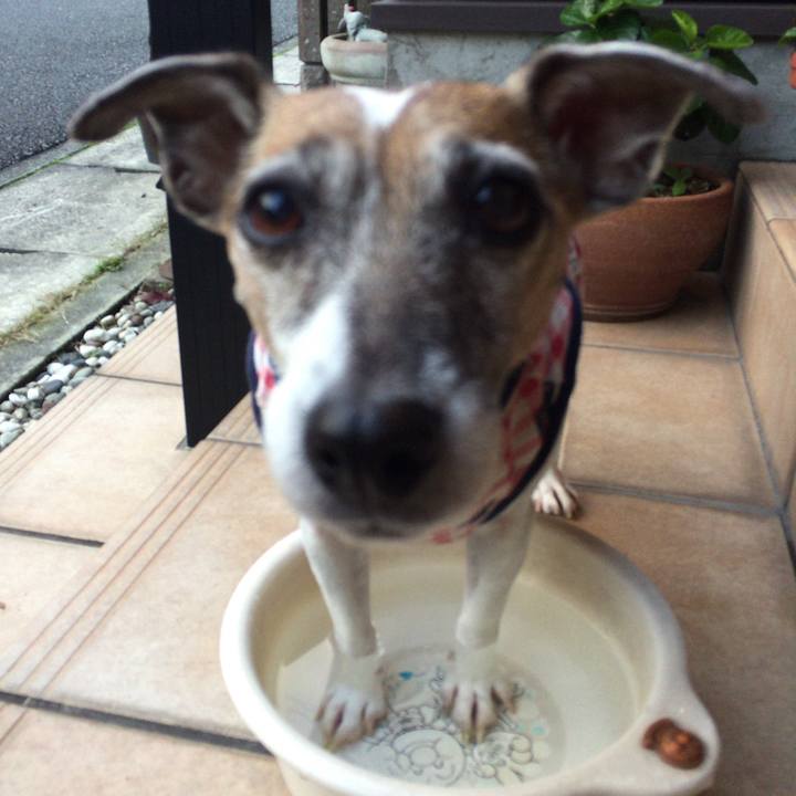 Cebba531 a9af 40c6 be83 ca4a367911d2