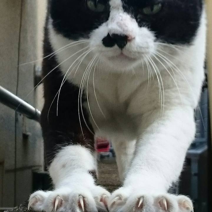 Cebbfff1 638c 4a19 b54b 06b97378c6da