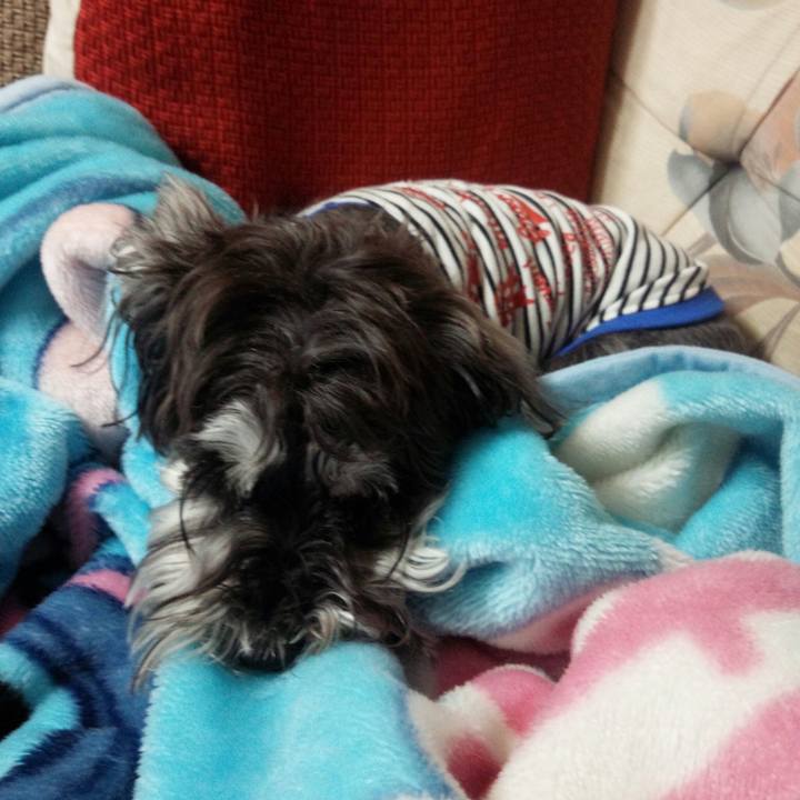 Cebd6a2b b20f 4017 b539 3c5df035bf60