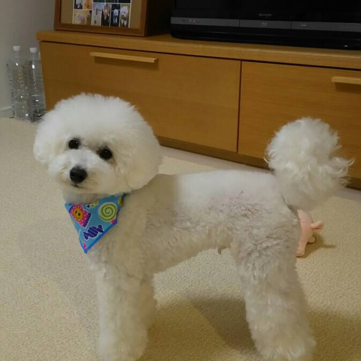 Cebdfc5b 4361 4e1a 86e1 4ef4ea003111