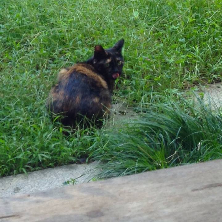 Cebe4514 3578 4539 a203 84eb0c21f355