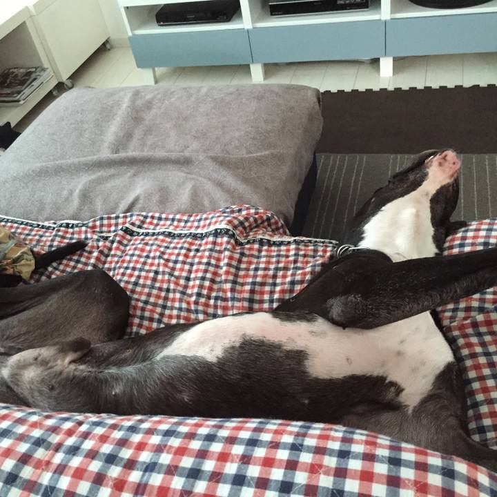 Cebe9604 f2bc 42f7 8bbe a1c0d8dc52eb