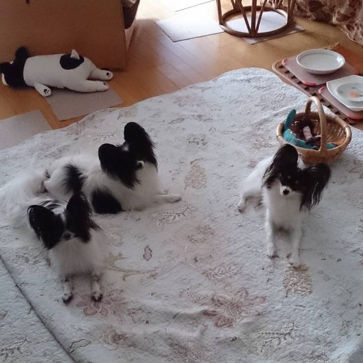 Cebeed49 26d2 4117 bce6 61b5d3783944