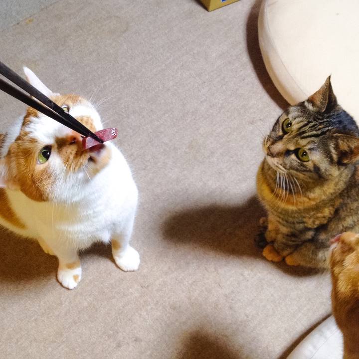 Cebf2de2 0d29 4acf a080 4945149012cb